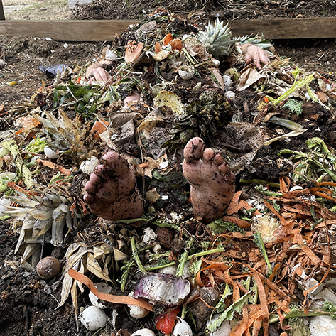 May 31 to August 16, 2025 After Flowers, an installation by Patrick Costello, combines images and sculptures that consider composting as a framework for reckoning with the questions of inheritance. In his practice, he uses time-based mediums to explore the impacts of history on present ecologies, and gives specific attention to the fraught interplay of care and control within multispecies relationships.